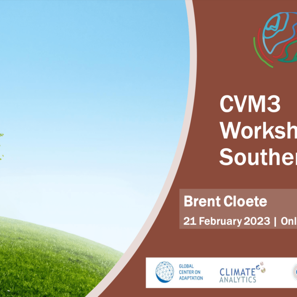 CVM3 Regional Workshop Presentation pic