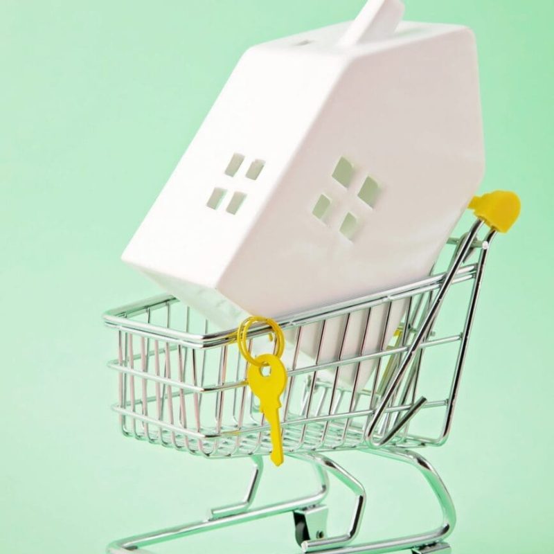 Shopping trolley with miniature hose inside. House buying, bank loan, real estate agency concept